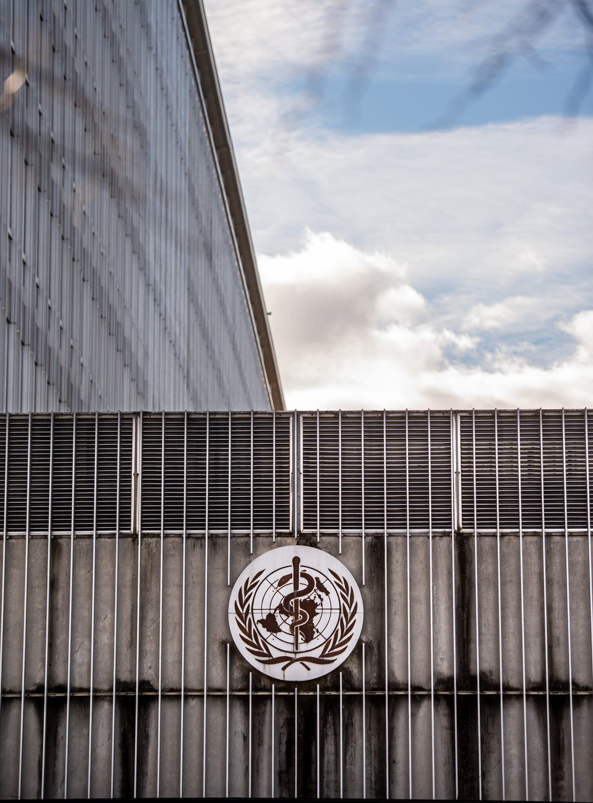 在美退出WHO之际，纽约市选择与世卫组织合作